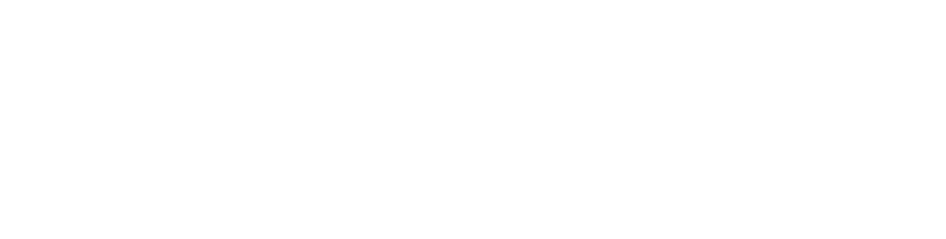 tintz tasman logo on clear