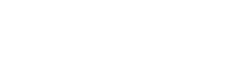 tintz tasman logo