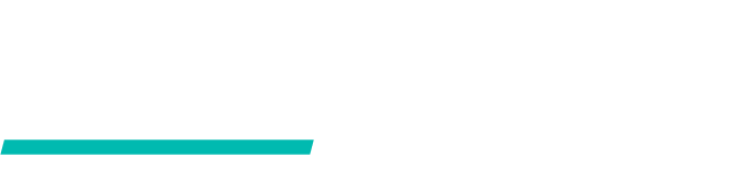 TINTZ TASMAN Logo